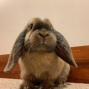 Meet your Posher, Naomi